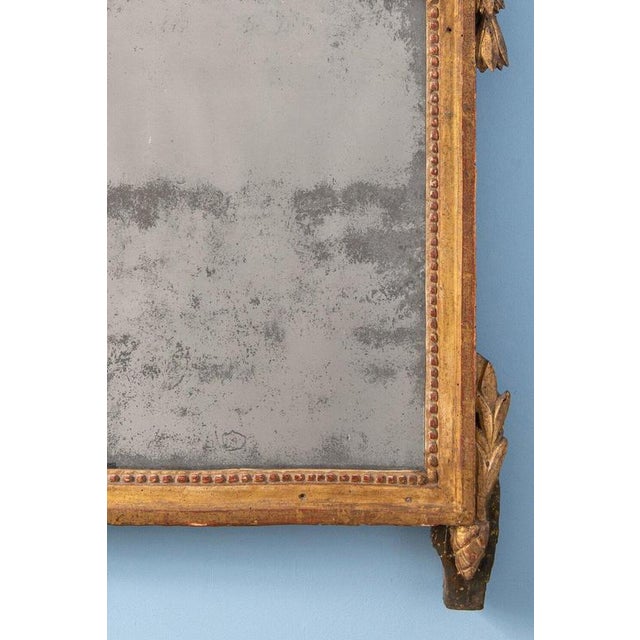 Late 18th Century French Louis XVI Crested Gilt Wood Mirror For Sale - Image 3 of 8