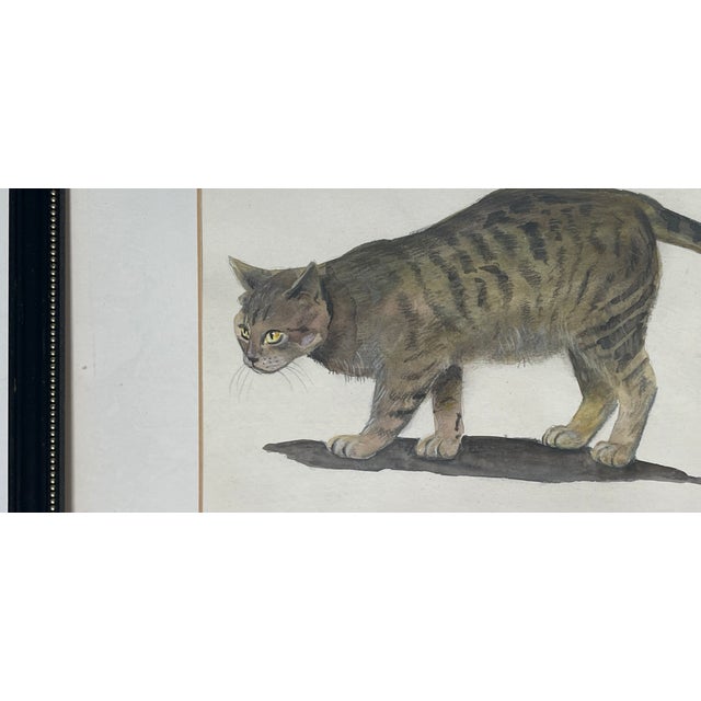 1970s Set of 4 Watercolor Cat Portraits Framed For Sale In Miami - Image 6 of 9