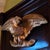 Antique Federal Style Mahogany and Gilt Trumeau Wall Mirror With Eagle Motif For Sale - Image 4 of 5