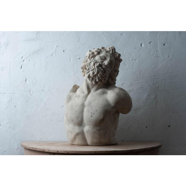 Mediterranean Bust of Laocoön, After the Antique, 20th Century For Sale - Image 3 of 12