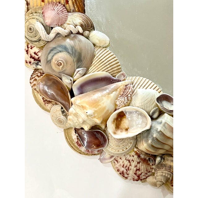 Vintage Coastal Oval Shell Encrusted Mirror For Sale - Image 12 of 14
