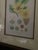 Mid-Century Framed Mark Catesby "Stuartia Silky Camellia" Botanical Print, Coffey & Thompson For Sale In Miami - Image 6 of 12
