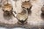 Silver and Glass Cups with Tray, Set of 8 For Sale - Image 3 of 6