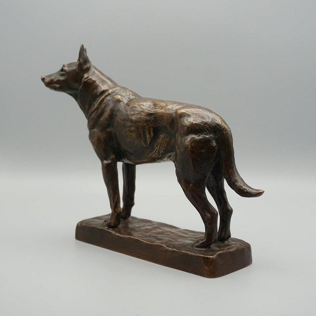 Metal Amédéé Charles Loyseau, German Shepard, 1890s, Bronze For Sale - Image 7 of 12