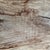 Rather Large 19th Century American Southwest Batea Washbasin For Sale - Image 12 of 15