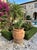 Hand-Painted Moroccan Metal Agave Sculptural Garden Ornament For Sale - Image 10 of 12