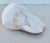 Conch Shell art with the inner core, a natural shell carved down to reveal the inner spiral and polished to be a new conch...