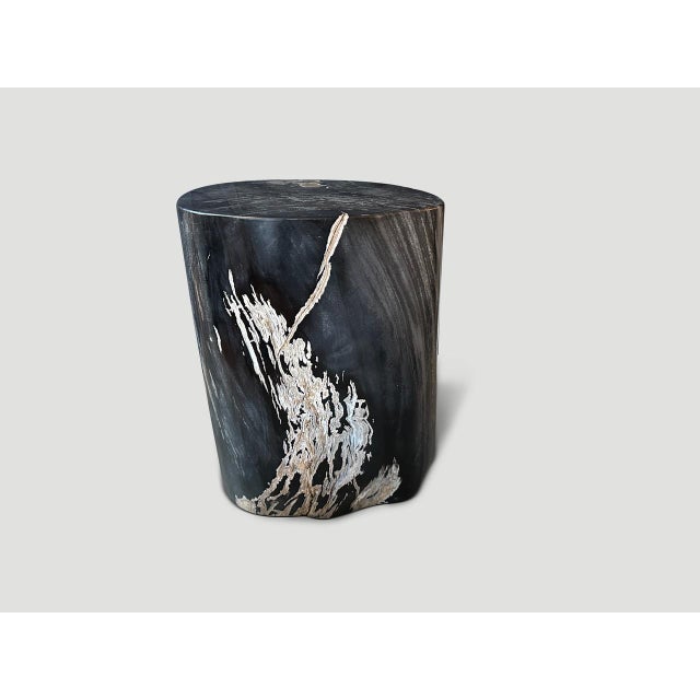 Andrianna Shamaris Exquisite High Quality Petrified Wood Side Table For Sale - Image 12 of 18