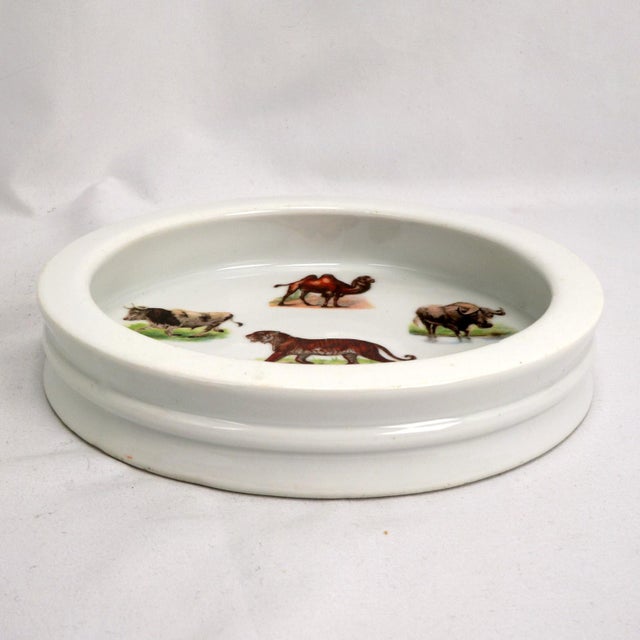 White Antique German Illustrated Child's Dish Animal Full Color Early 1900s For Sale - Image 8 of 10