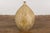 Prem Collection Hand Crafted Artisan Vase with Narrow Mouth & Mustard Glaze For Sale - Image 10 of 12