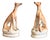 Antique Victorian Greyhounds from Staffordshire, 1880, Set of 2 For Sale