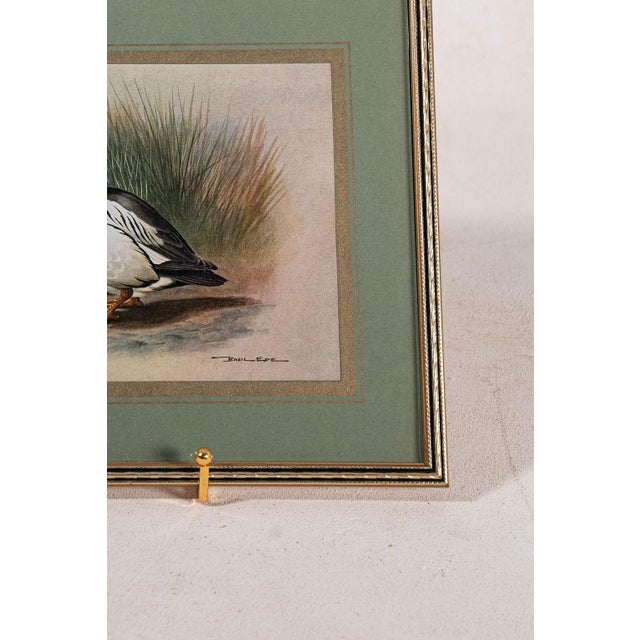 Printmaking Materials Set of 3 Signed Duck Prints With Green Mats For Sale - Image 7 of 9