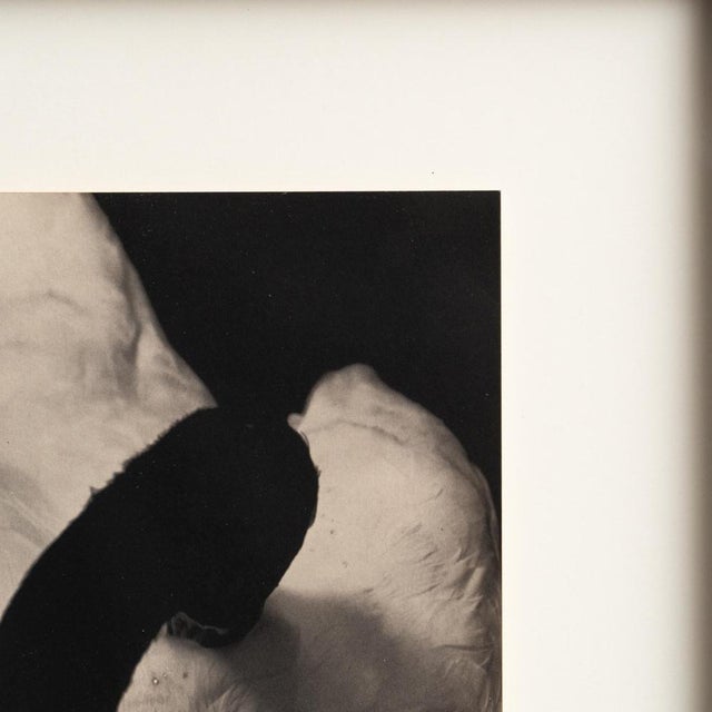 Albarran & Cabrera, Mouth of Krishna, Photographic Print, 2010s For Sale - Image 6 of 12