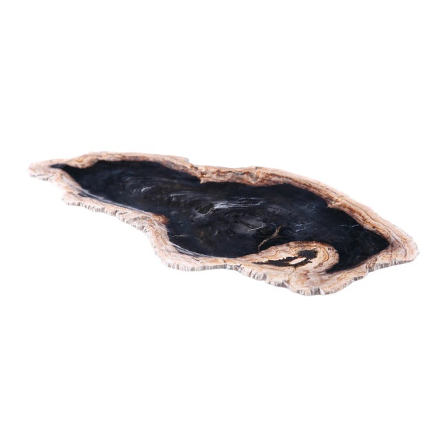 Hand cut, sand, and polished petrified wood board. Each one shows naturel marble grains and pattern. No two are exactly...