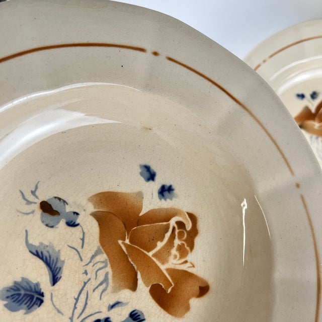 20th Century Sarreguemines Soup Plates with Floral Motif, 1920s, Set of 6 For Sale - Image 6 of 14