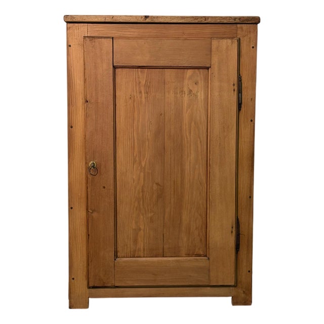 Early 20th Century Fir Wood Cabinet with Single Door For Sale