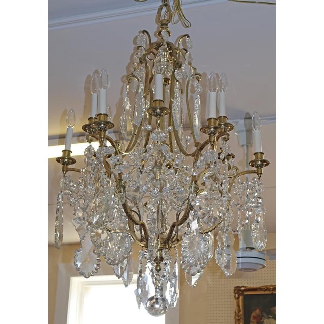 Late 19th Century French Louis XV Style Brass & Crystal 12 Light Cage Chandelier For Sale - Image 11 of 18