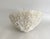 Natural White Bowl Coral Specimen Coastal Home For Sale - Image 4 of 9