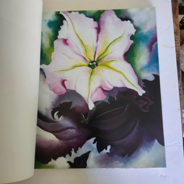 1980s 1987 Georgia O'Keeffe : One Hundred Flowers. Knopf, 1st Edition Large Hardback For Sale - Image 5 of 13