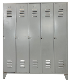 Vintage Industrial Locker Cabinet