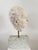 Stone Plaster Sculpture Depicting the Face of a Man, Italy, 20th Century For Sale - Image 7 of 13