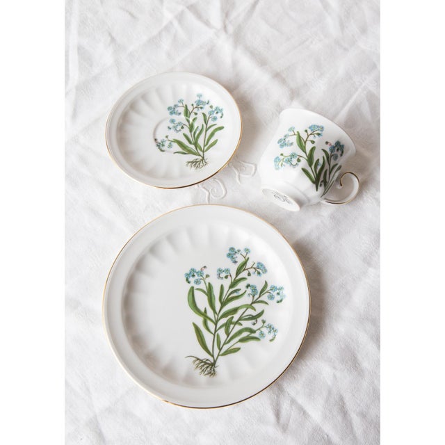 White Coffee and Dessert from Tettau, 1976, Set of 28 For Sale - Image 8 of 18