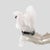 Vintage White Murano Glass Scottish Terrier Dog Figurine from Barovier & Toso, 1930s For Sale - Image 3 of 11