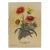 1899 French Antique Botanical Lithograph-Signed-"Sunflower" For Sale