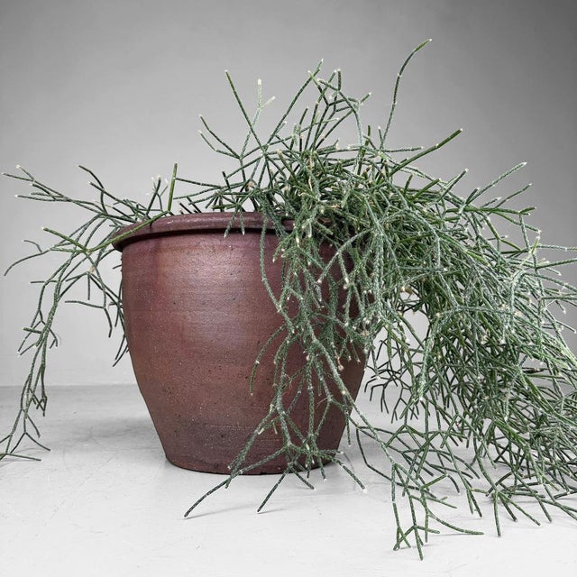 A large Japanese earthenware pot with a sober, organic form and a warm, natural presence. Dimensions: height 32 cm,...