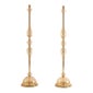 Shop Dlight Chandelier and Decor