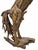 Vintage Rustic Life-Size Teak Root and Driftwood Rearing Horse Sculpture For Sale - Image 11 of 12