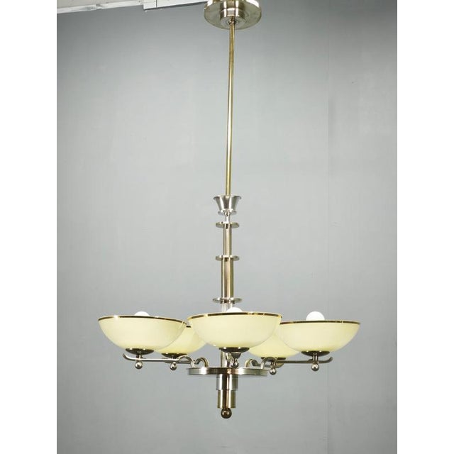 Art Deco Nickel Chandelier with Champagne Glass Shades, 1930s For Sale - Image 14 of 15