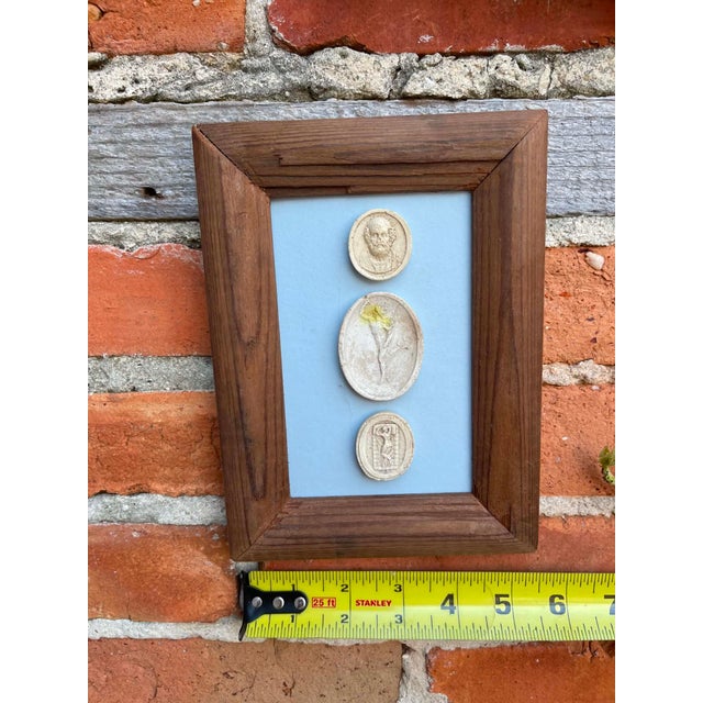 Italian Plaster Intaglios in 1880s Pine Frame For Sale - Image 6 of 7