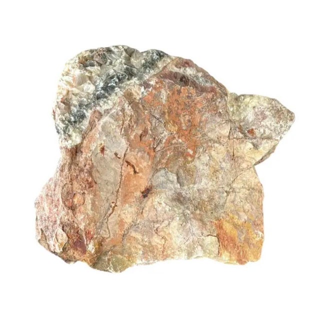 Natural Petrified Wood Specimen #4 For Sale - Image 9 of 9
