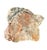 Natural Petrified Wood Specimen #4 For Sale - Image 9 of 9