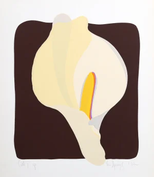 Van Amerino Lithograph - Calla 1