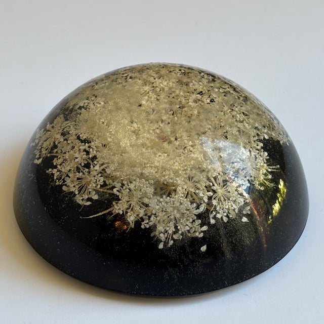 Mid-20th Century Signed William Rolfe Botanical Resin Paperweight For Sale - Image 4 of 15