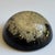 Mid-20th Century Signed William Rolfe Botanical Resin Paperweight For Sale - Image 4 of 15