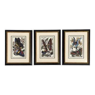 Victorian Style, Framed Butterfly Prints, Gilt, Painted Wood, Usa, 20th C. For Sale