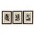 Victorian Style, Framed Butterfly Prints, Gilt, Painted Wood, Usa, 20th C. For Sale