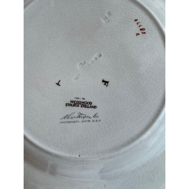 Yellow Antique Wedgwood Dragonfly & Water Lily Cabinet Plate, 10” For Sale - Image 8 of 8