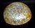 Shell Mother of Pearl Bowl Dish Hand Crafted Teardrop 8" For Sale - Image 7 of 7