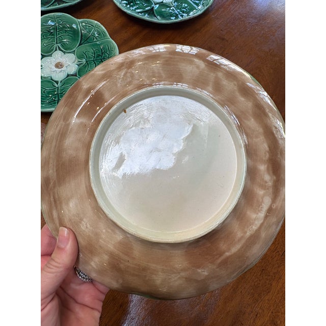 Water Lily Majolica Plates, 19th Century by Adams and Bromley For Sale In Houston - Image 6 of 6