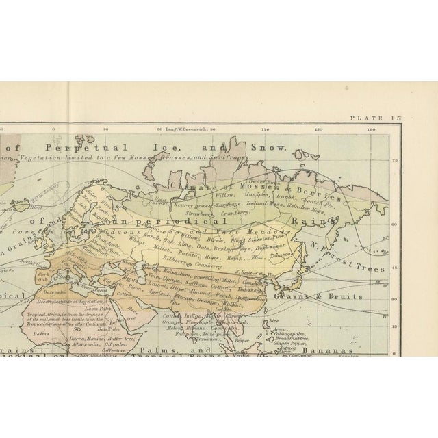 Mid 19th Century Botanical Map by A.K. Johnston, 1852 For Sale - Image 5 of 10