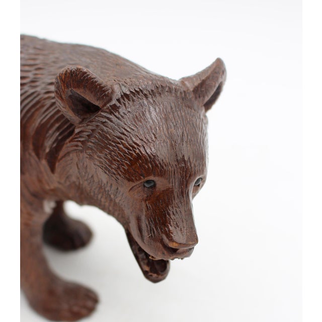 Early 20th Century Circa 1900 Swiss Small-Medium Size Strolling Black Forest Bear For Sale - Image 5 of 6