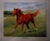 Secretariat Muldofsky, Murray Print Size: 19 x 24 in. (48.26 x 60.96 cm)