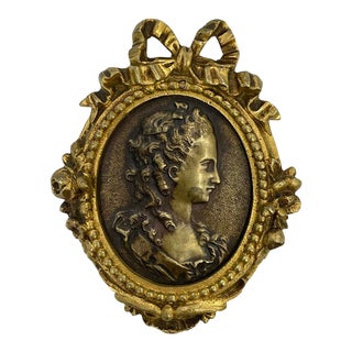 French Patinated Bronze Portrait of a Lady, Framed Antique For Sale