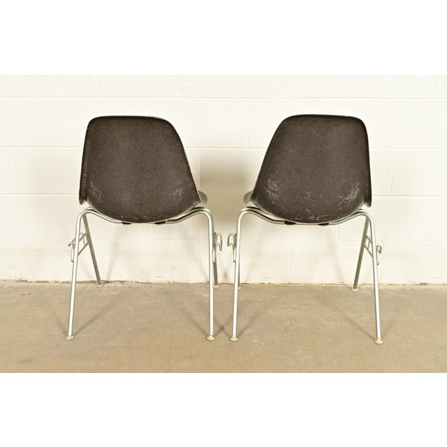 Charles & Ray Eames for Herman Miller DSS Seal Brown Stacking Shell Chairs | Pair For Sale - Image 12 of 17