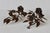 Late 20th Century Hans Kögl Style Gilded Flowers Stems Leaves Wall Mount Candle Holders Sconces - a Pair For Sale - Image 15 of 18