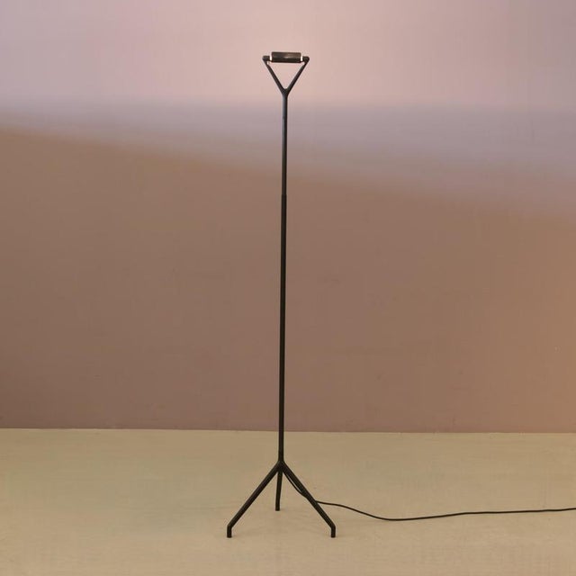 Model Lola D15 Floor Lamp by Rizatto & Meda for Luceplan Italy, 1980s For Sale - Image 6 of 13